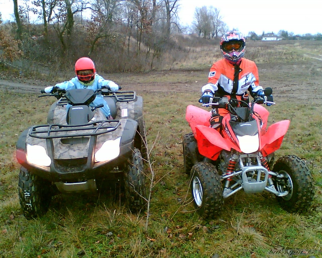 Photo 781787