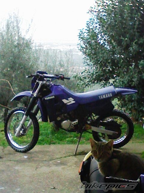 Bike Photo 781904