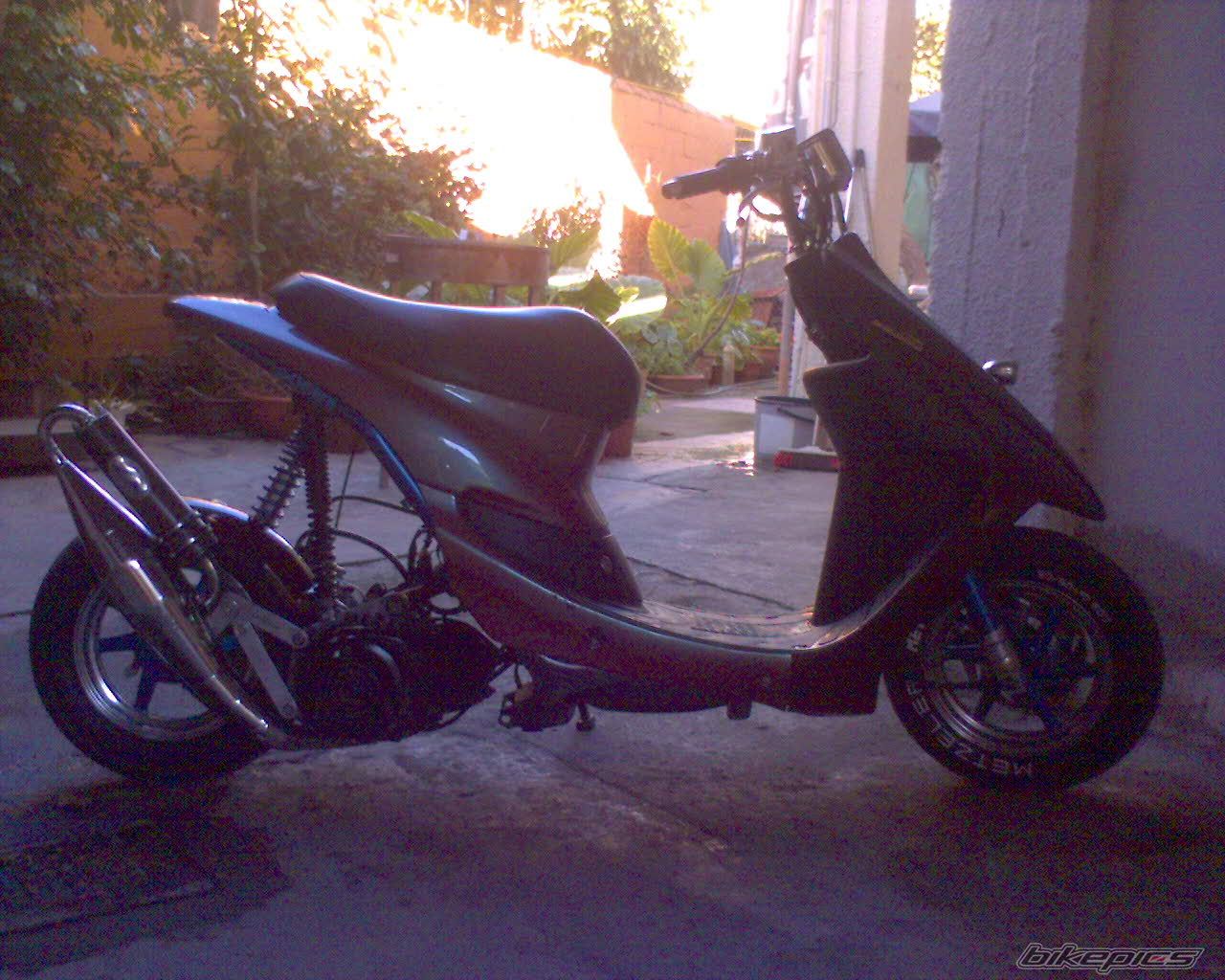 Photo 781942