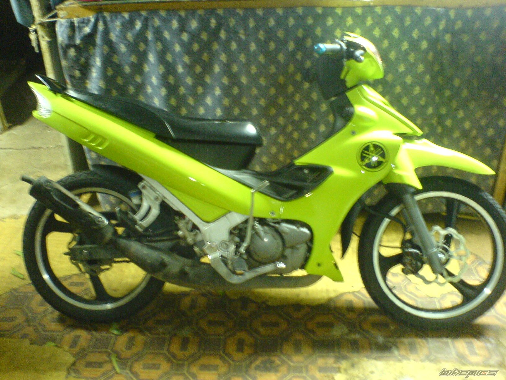 Photo 782150