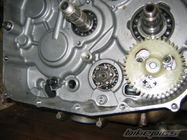 Photo 782191