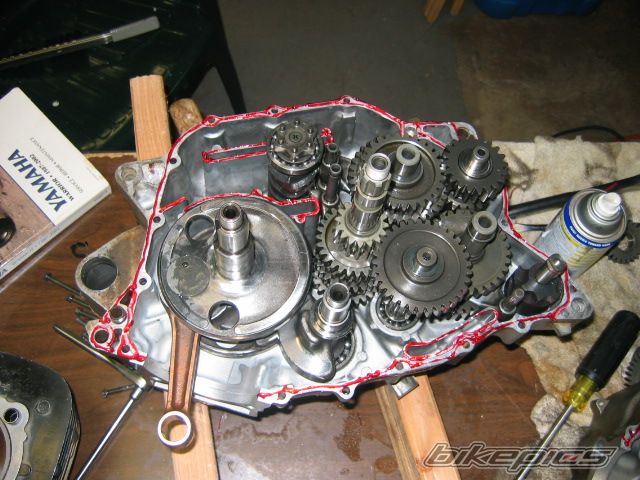 Photo 782195