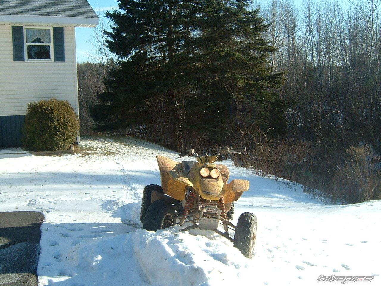 Photo 782217
