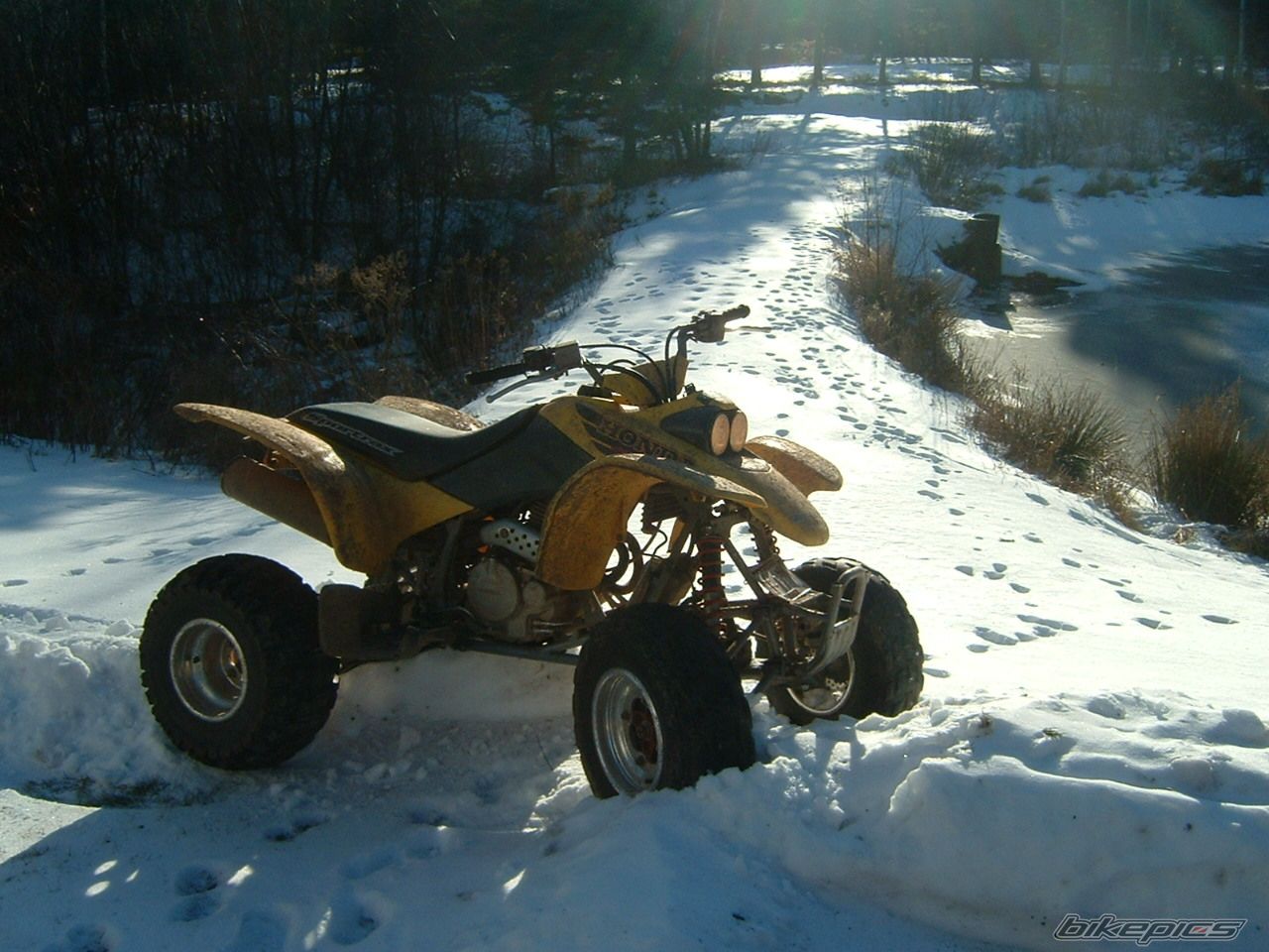 Photo 782218