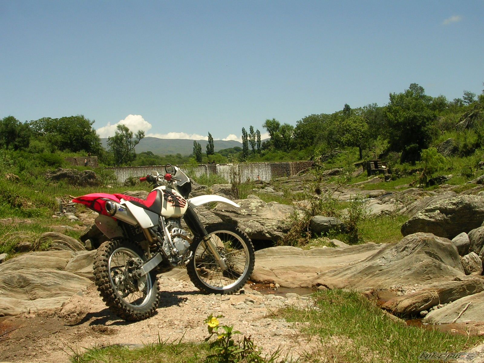 Bike Photo 782253