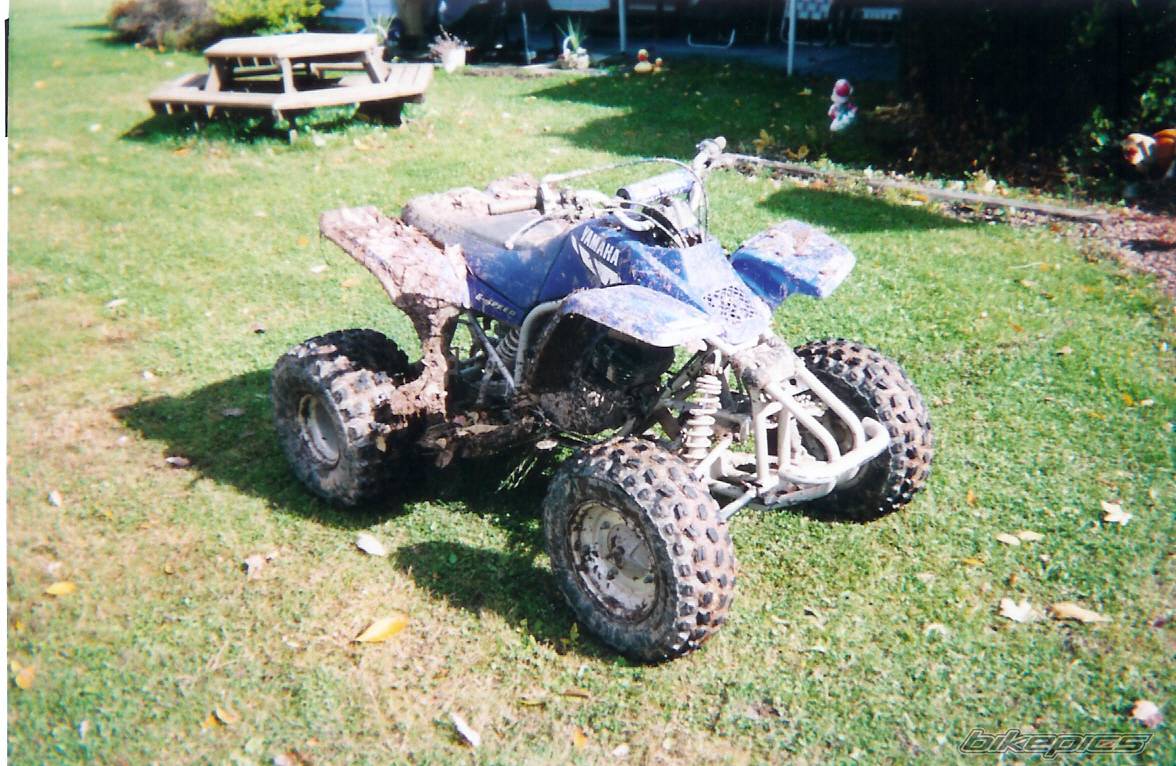 Photo 78234