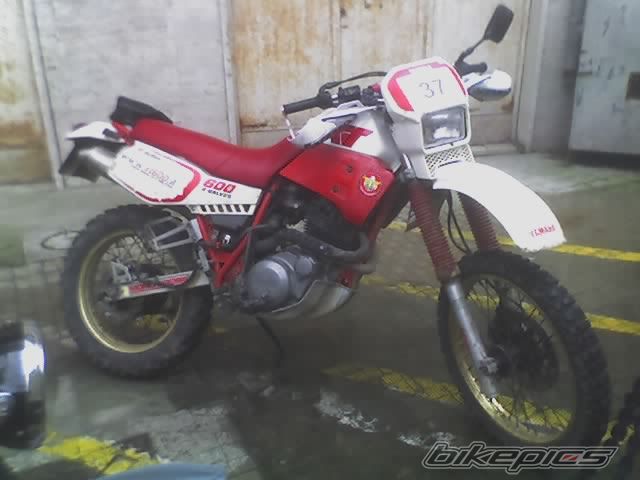 Bike Photo 782424