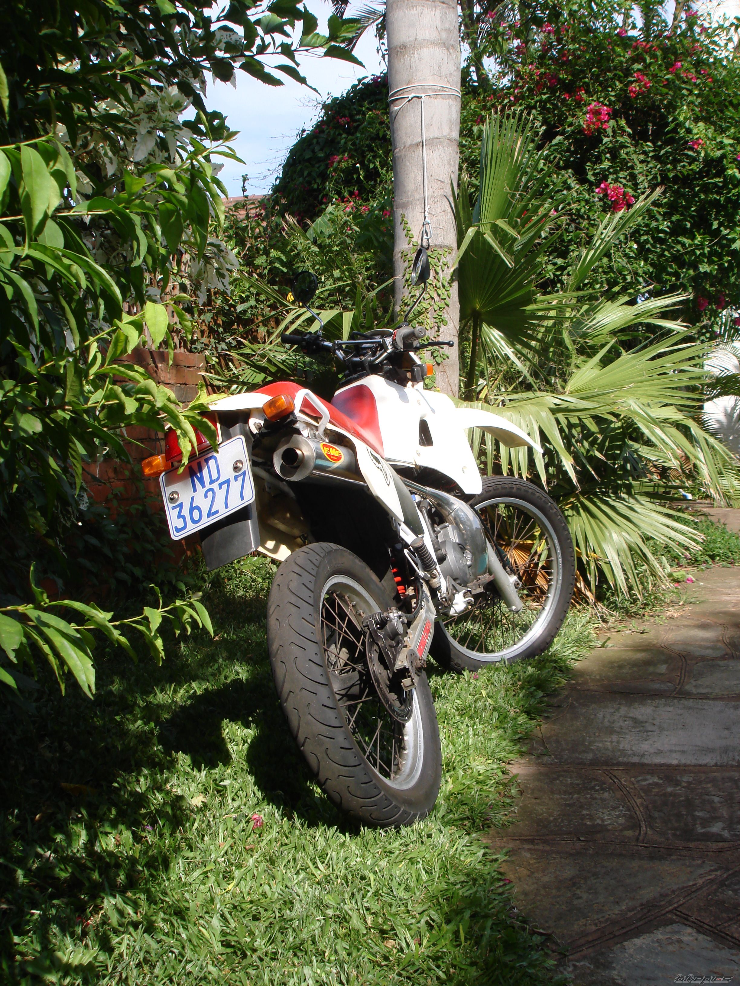 Photo 782475