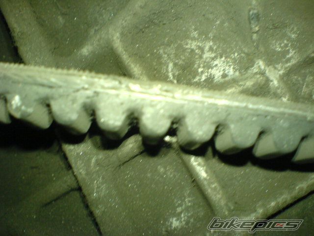 Photo 782476
