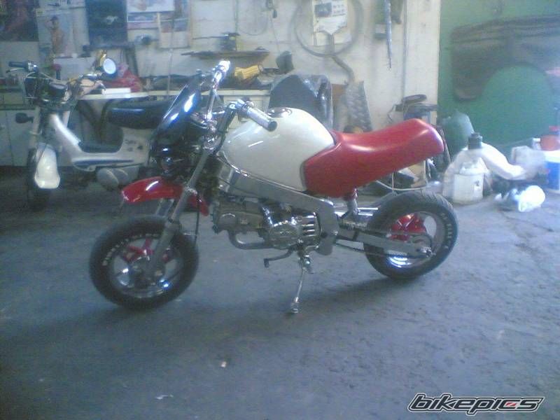 Photo 782488