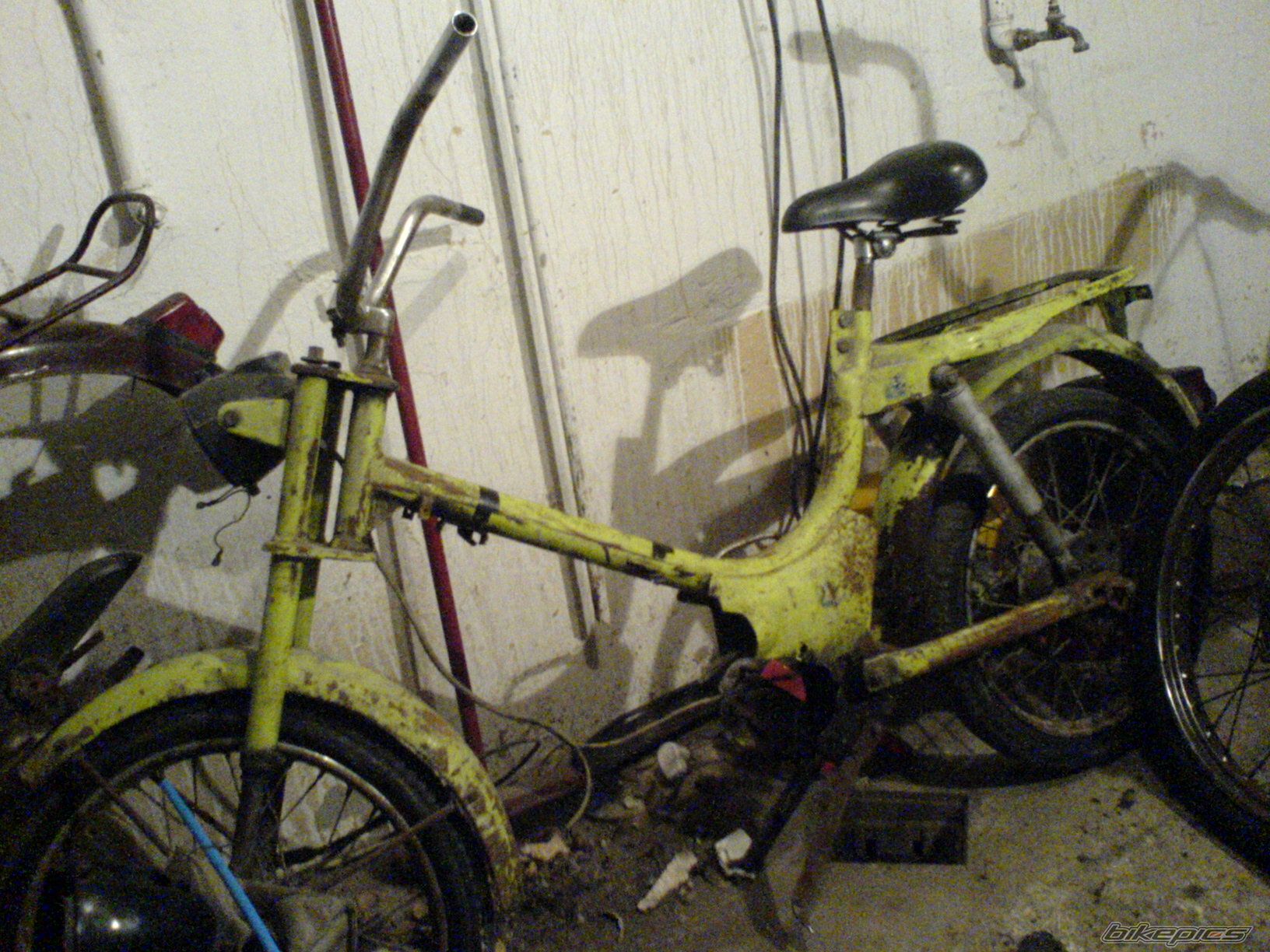 Photo 782533
