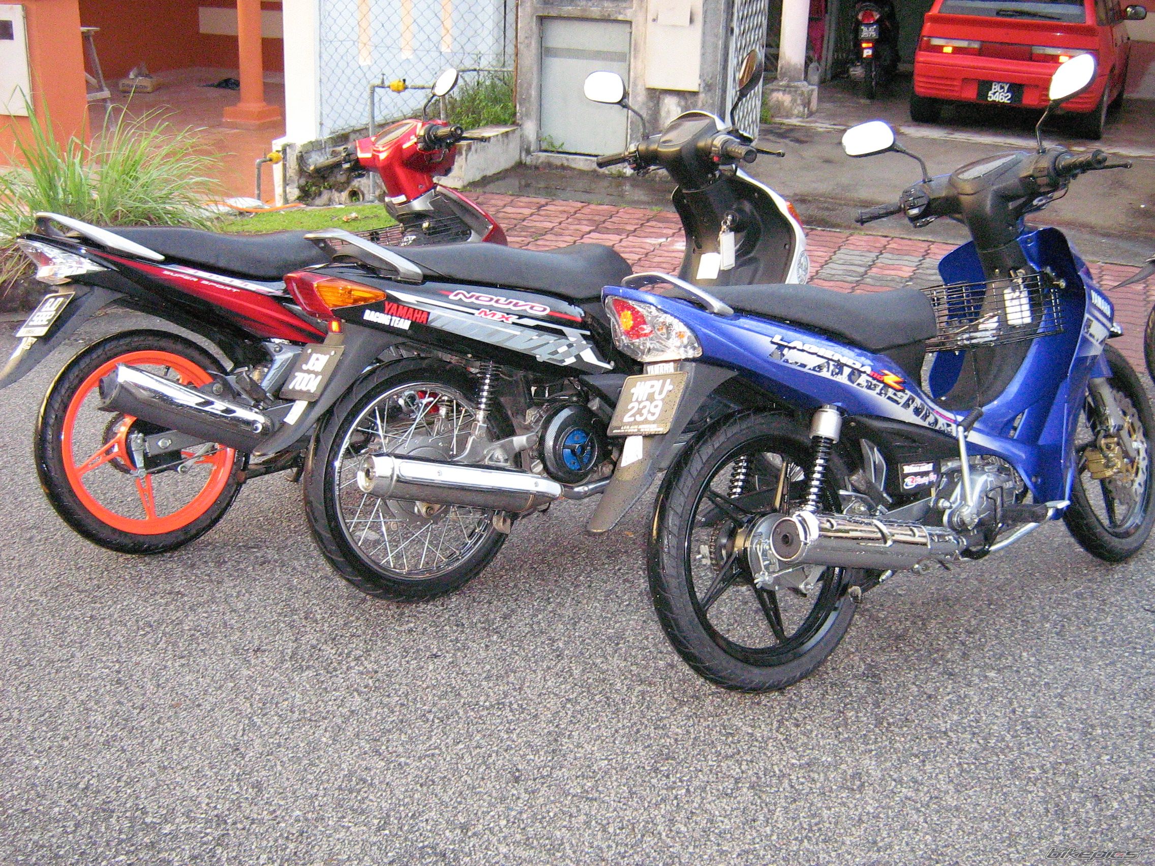 Photo 782538