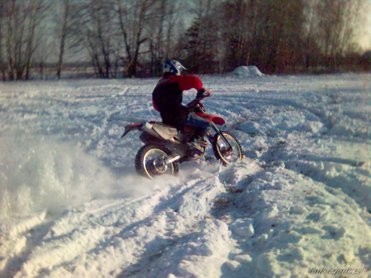 Bike Photo 782595