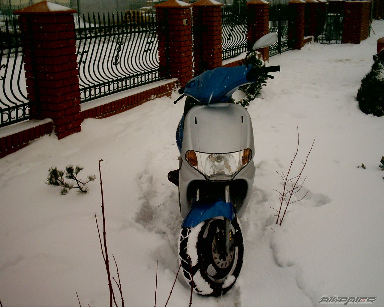 Photo 783433