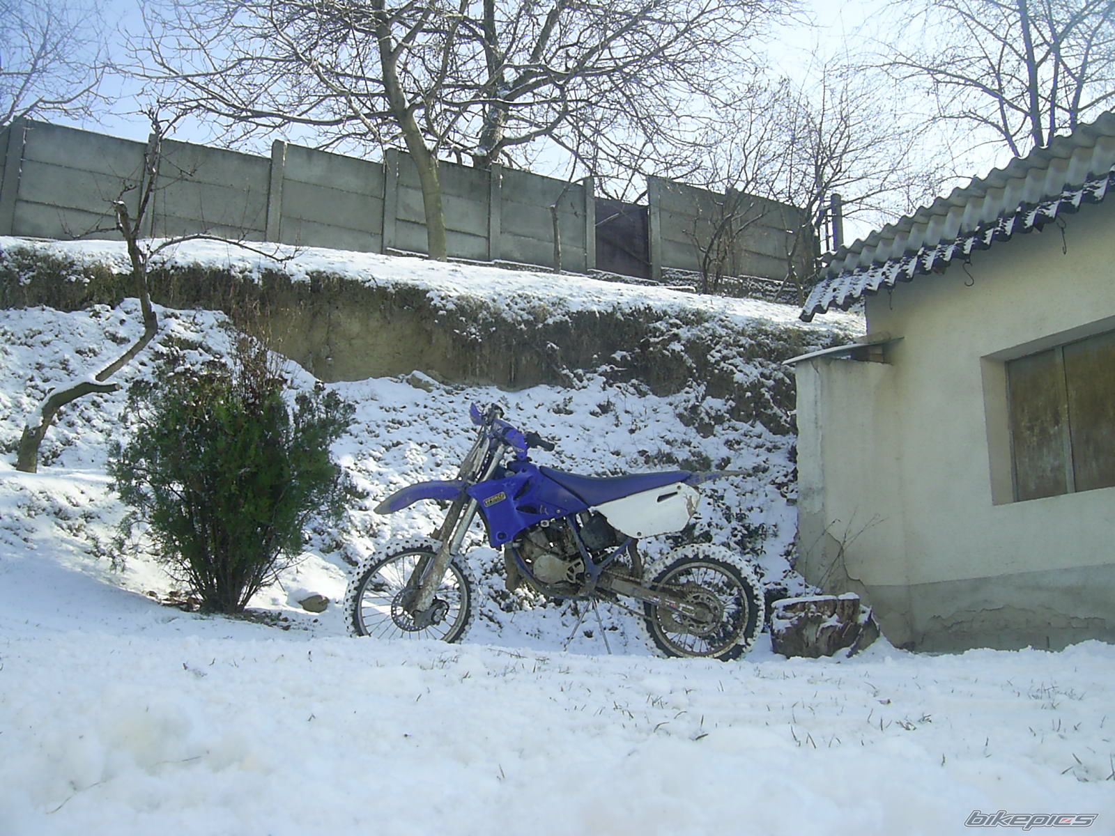 Photo 783464