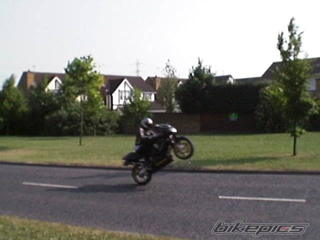 Photo 7836