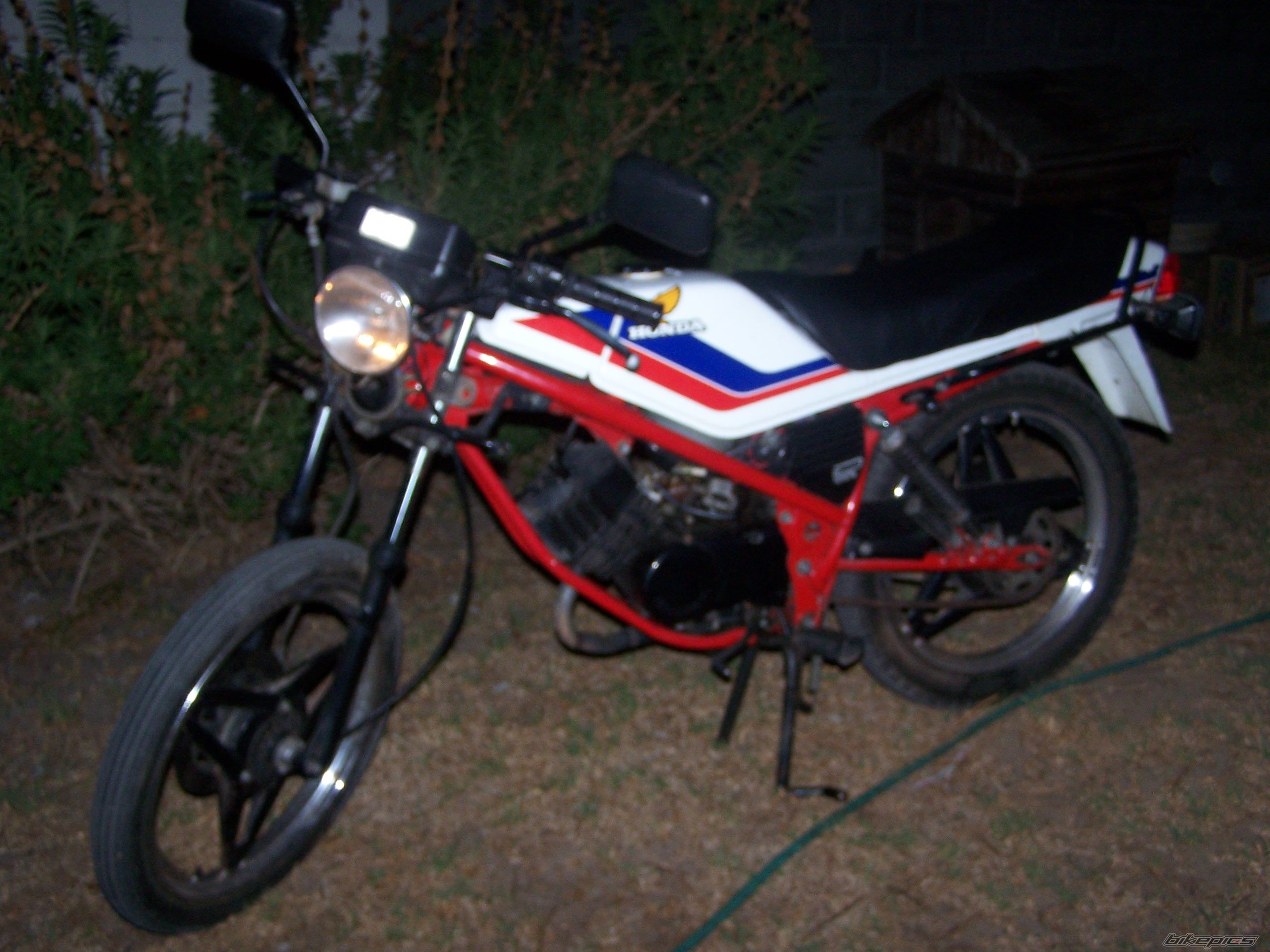 Photo 783630