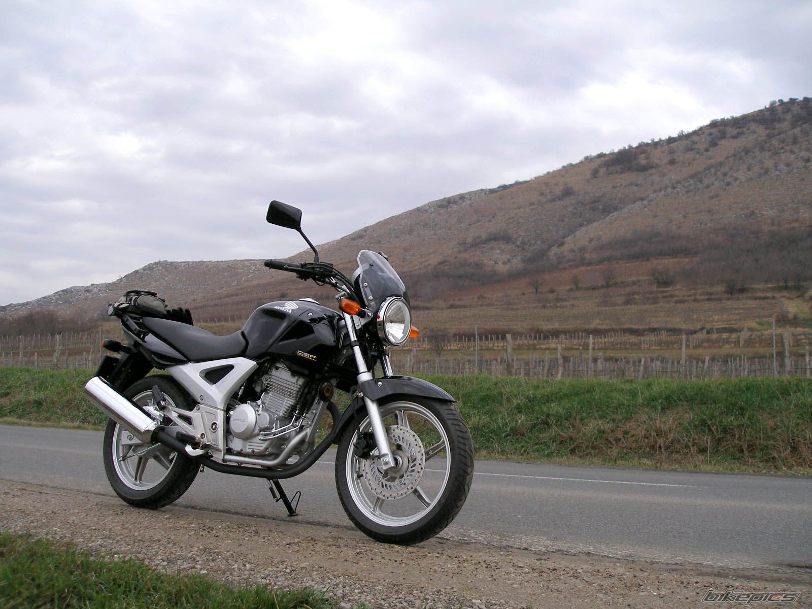 Photo 783662