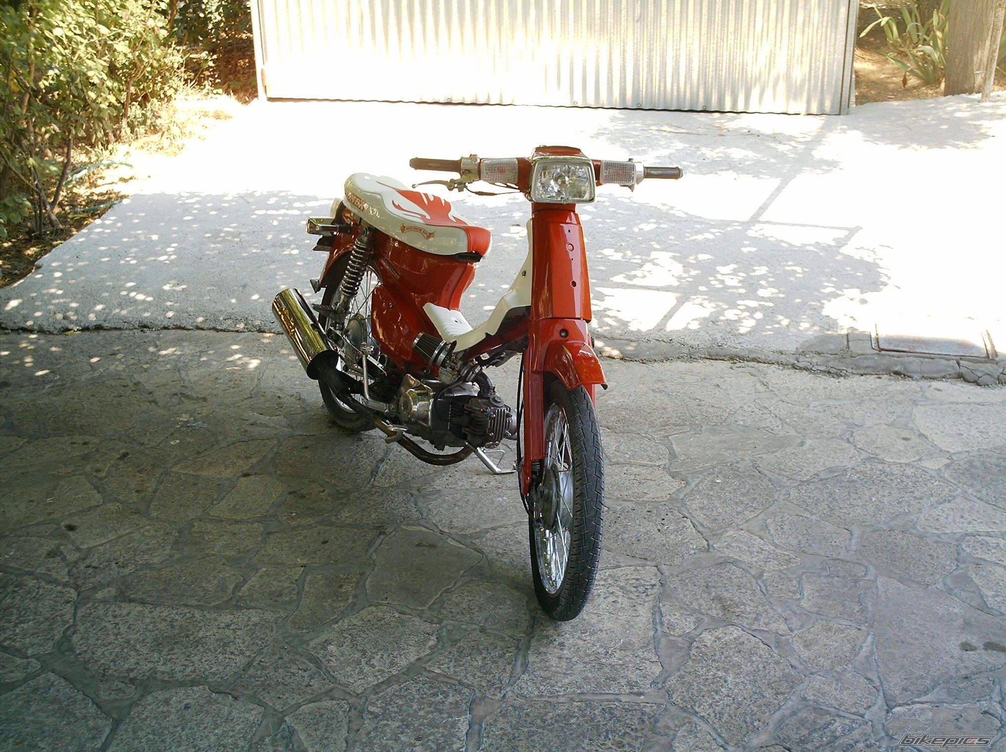 Photo 783732