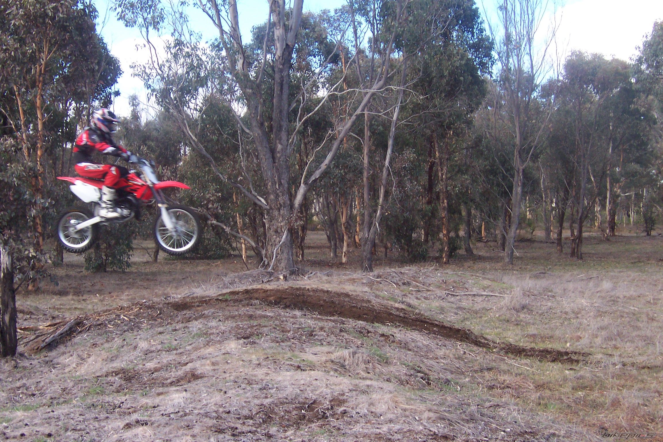Photo 783901