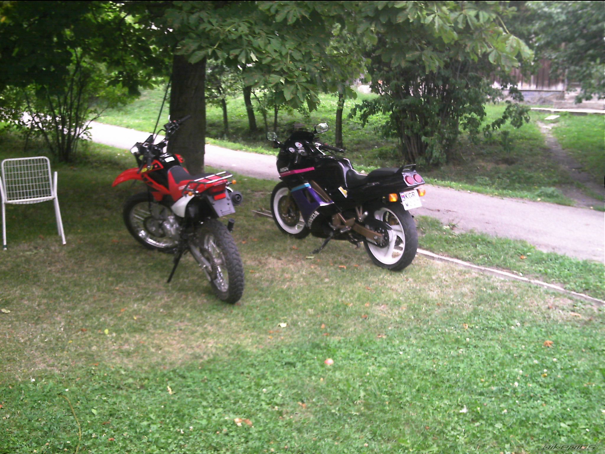 Photo 784234