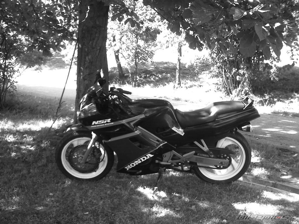 Photo 784235