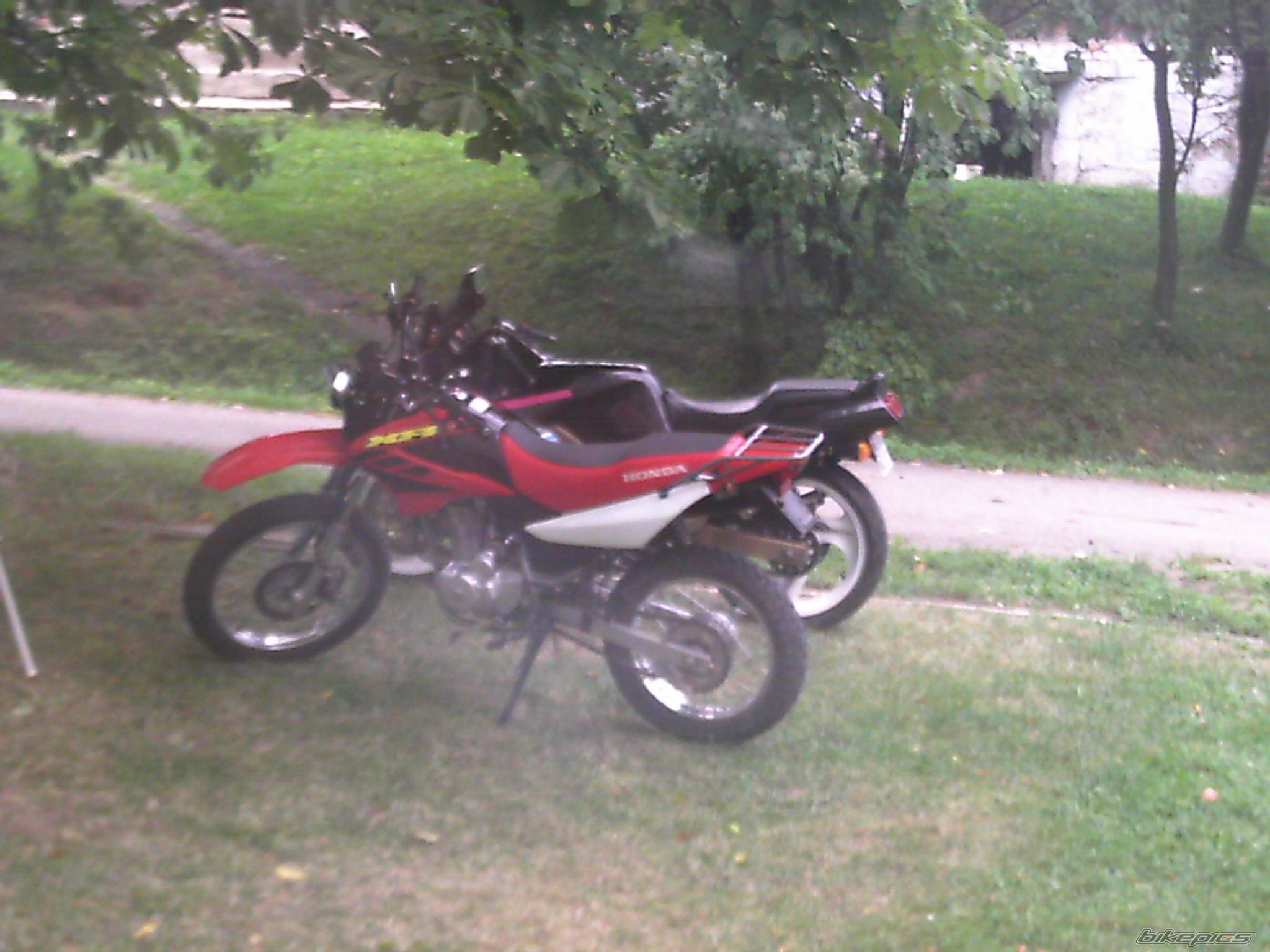 Photo 784246