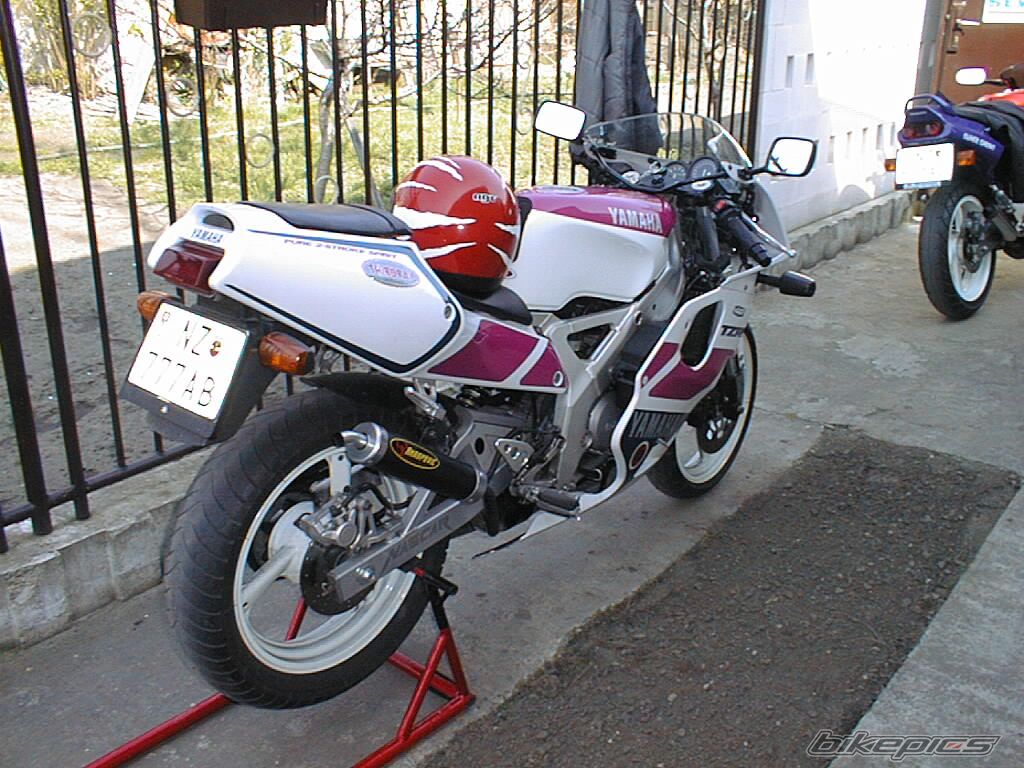 Photo 784256