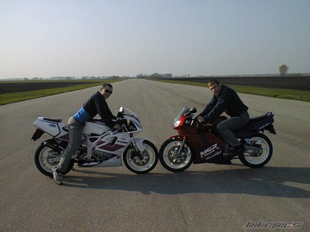Photo 784268