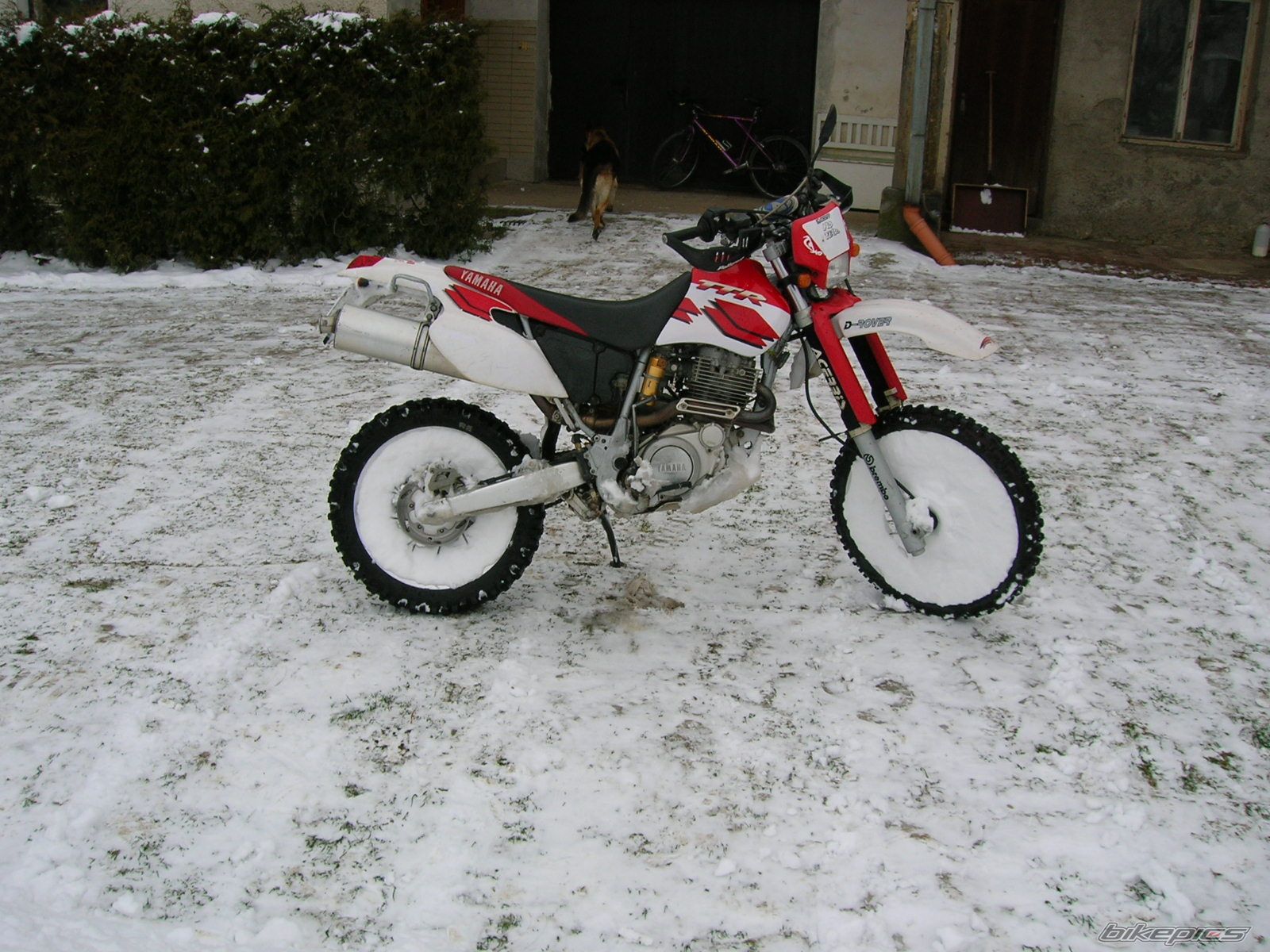 Photo 784428