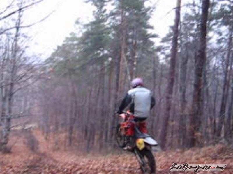 Bike Photo 784617