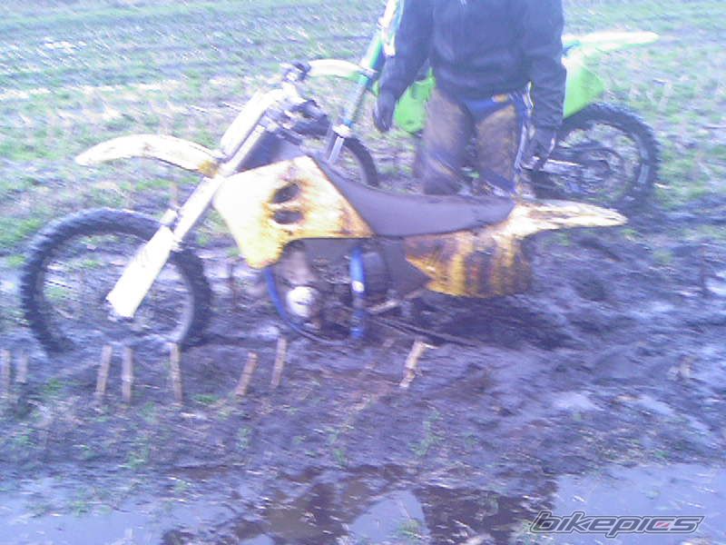 Photo 784769