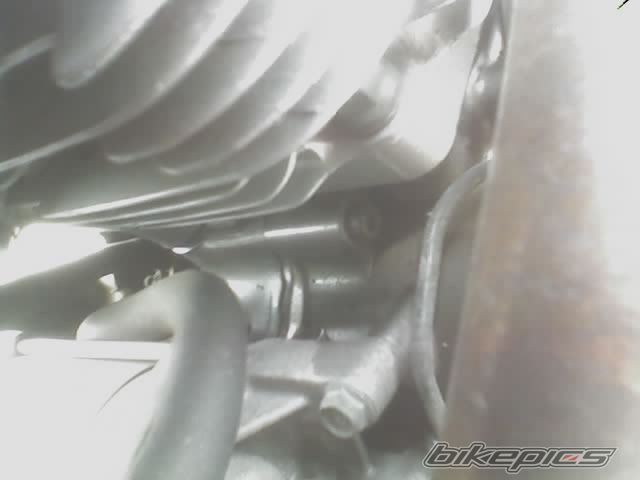 Photo 784771