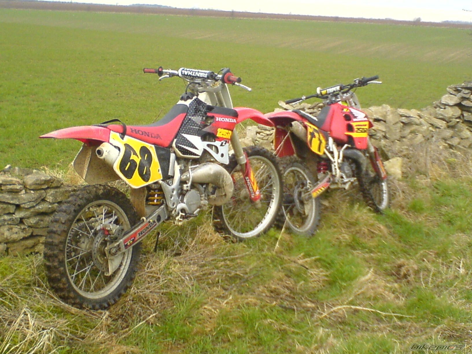Photo 784779