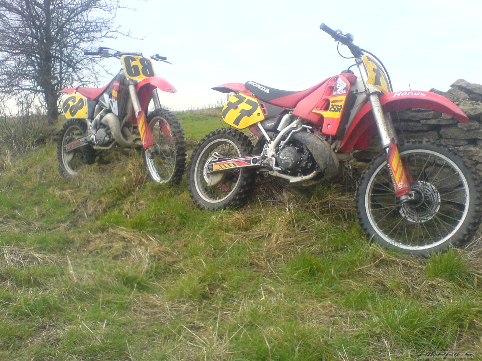 Bike Photo 784781