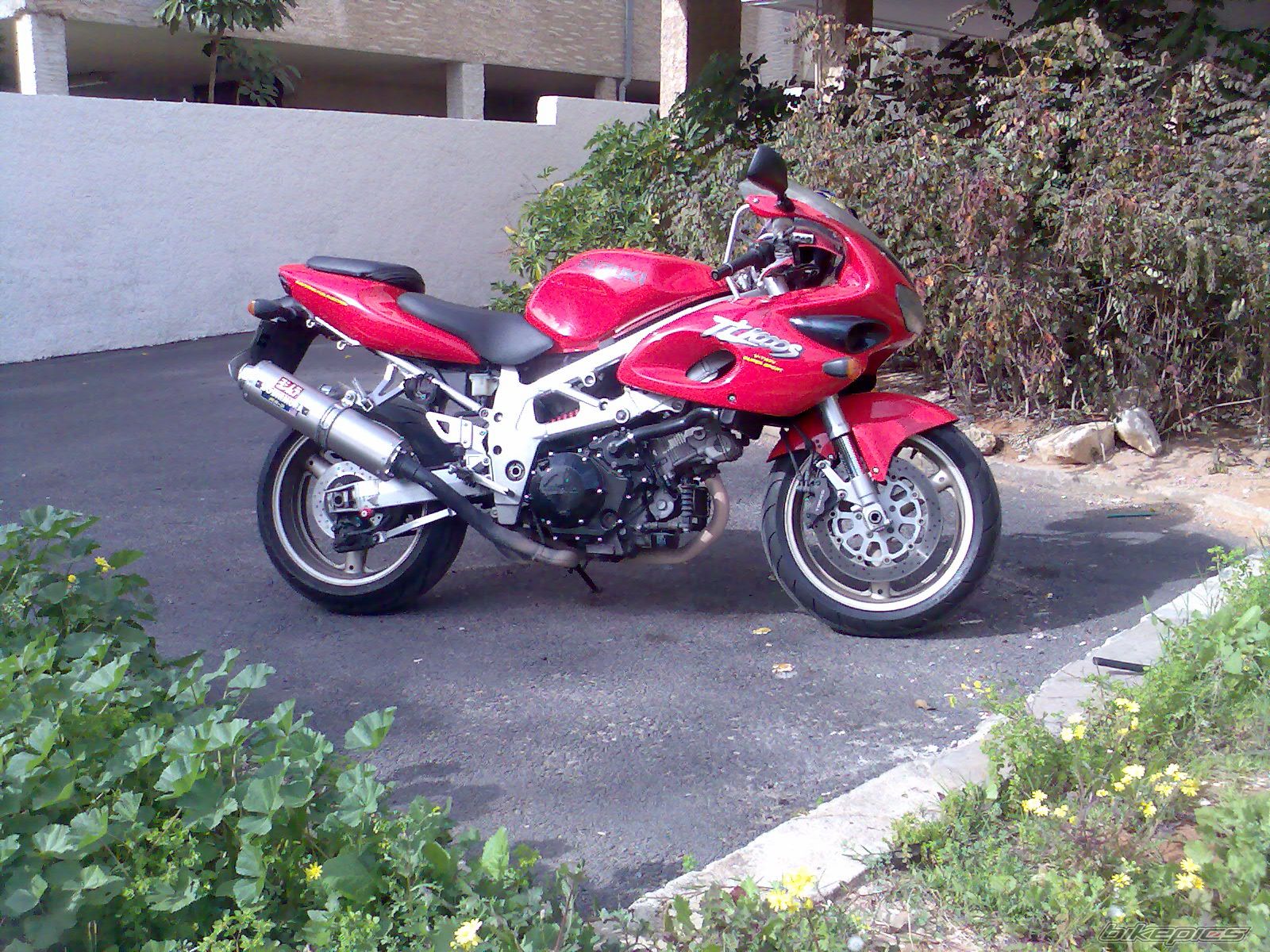 Photo 784789