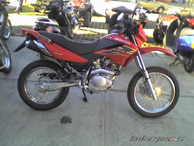Photo 784819