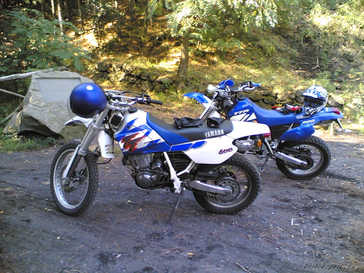 Photo 784873