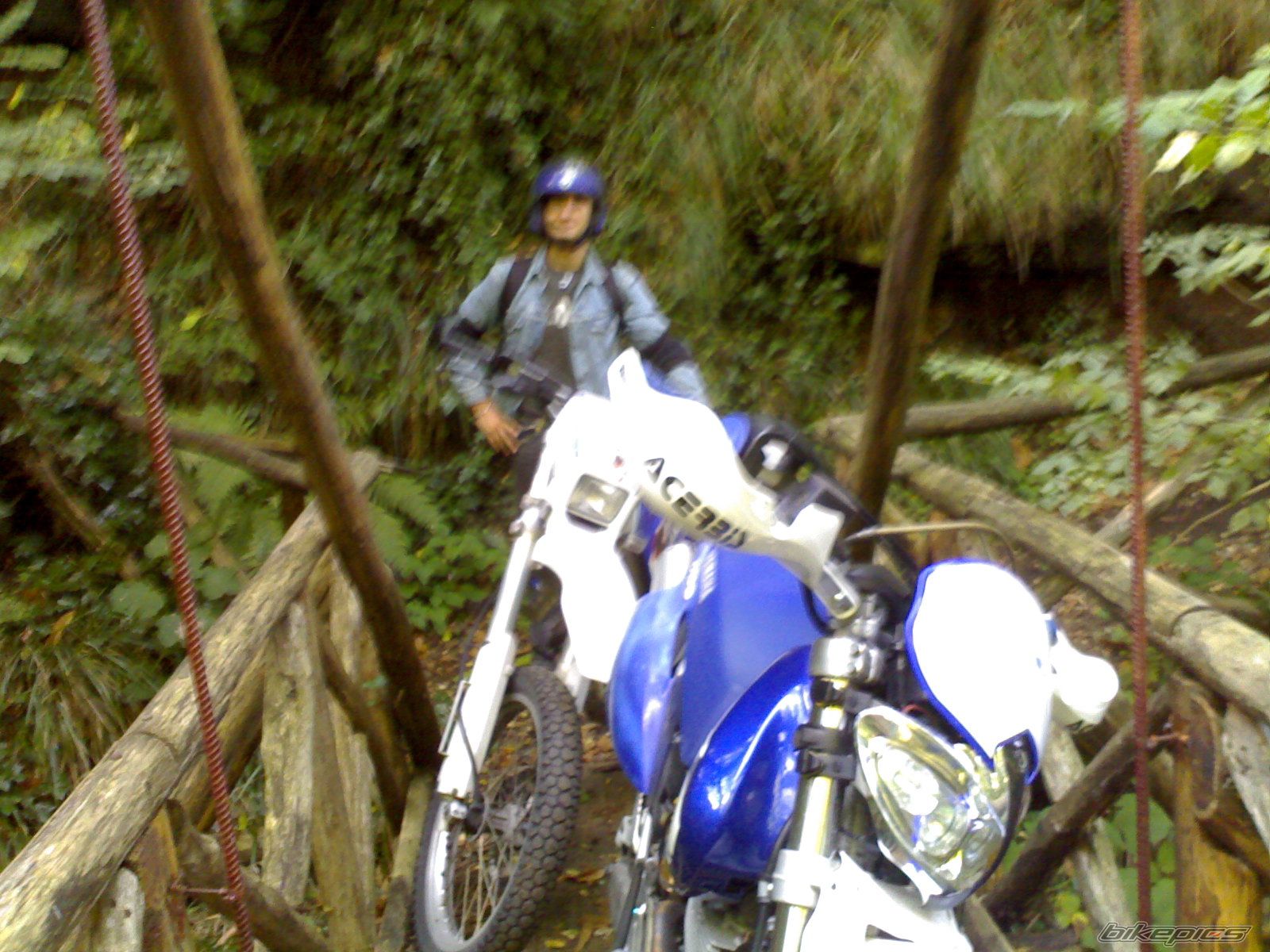 Photo 784882