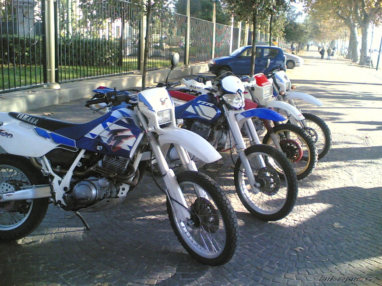 Bike Photo 784918