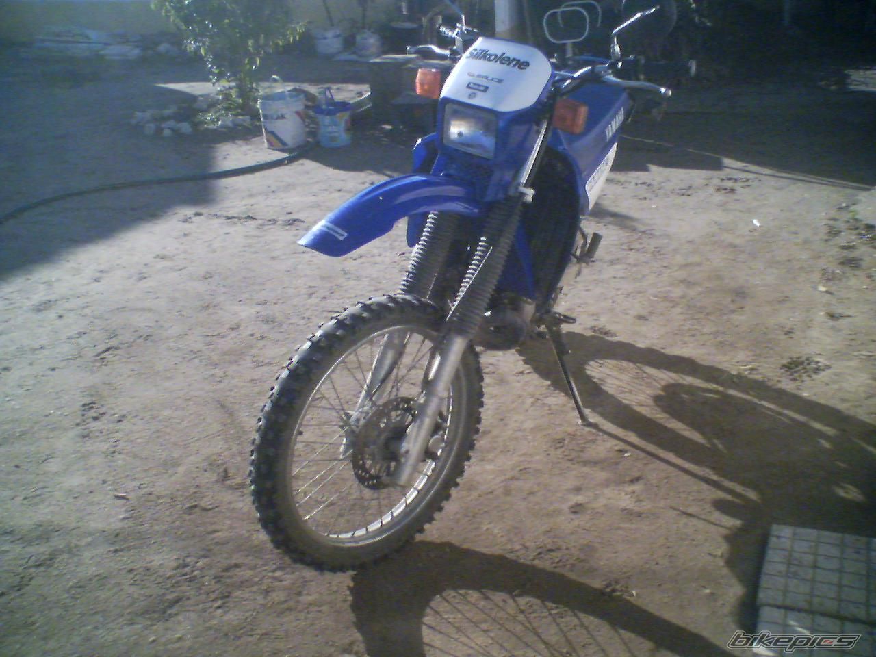 Bike Photo 784981