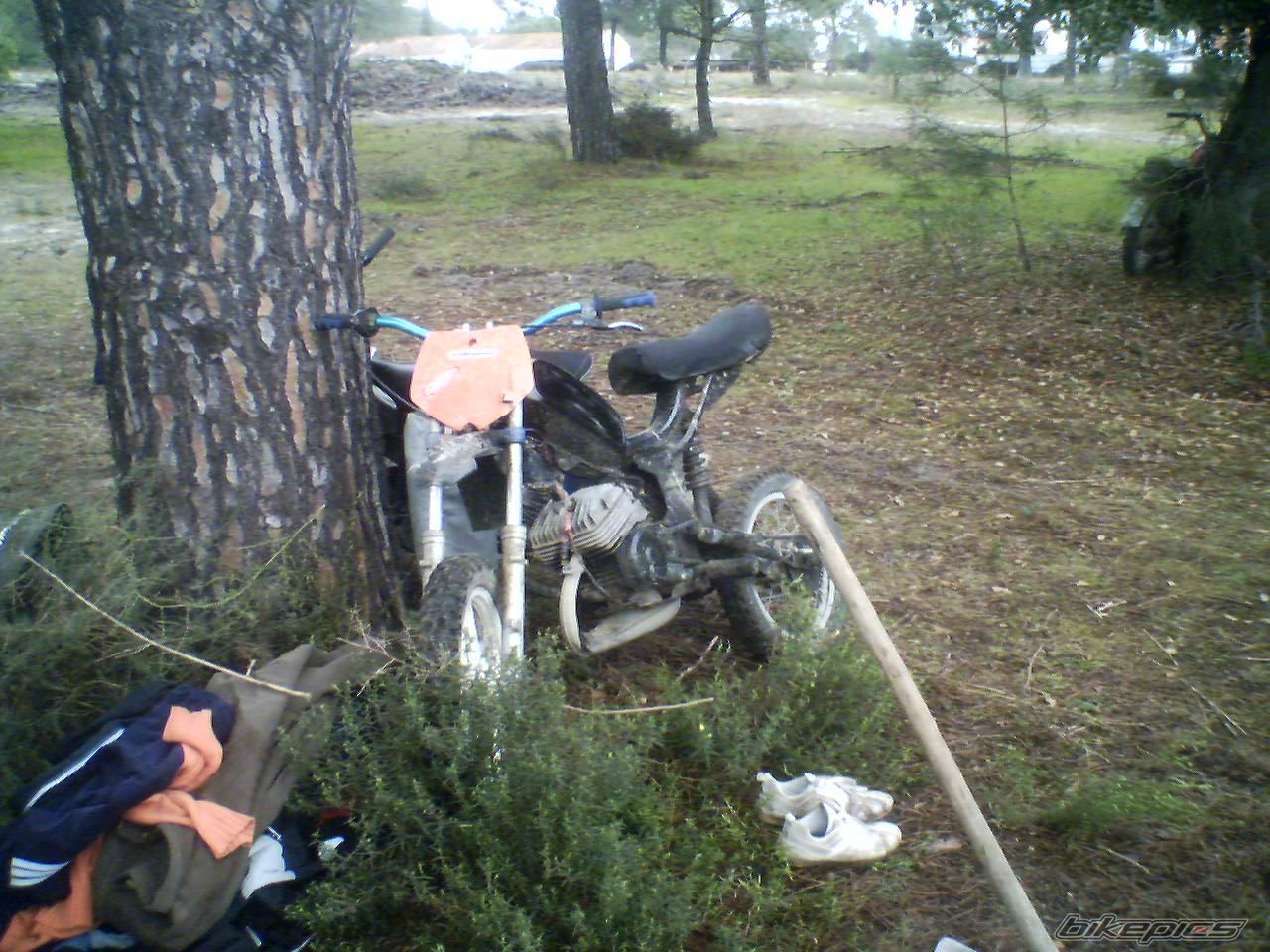 Photo 784982