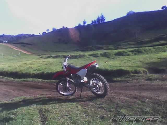 Photo 785034
