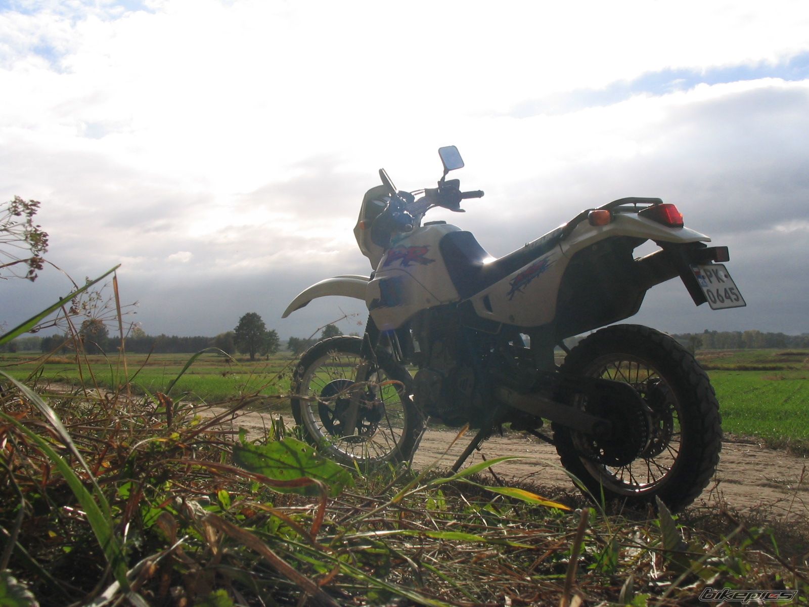 Photo 785125
