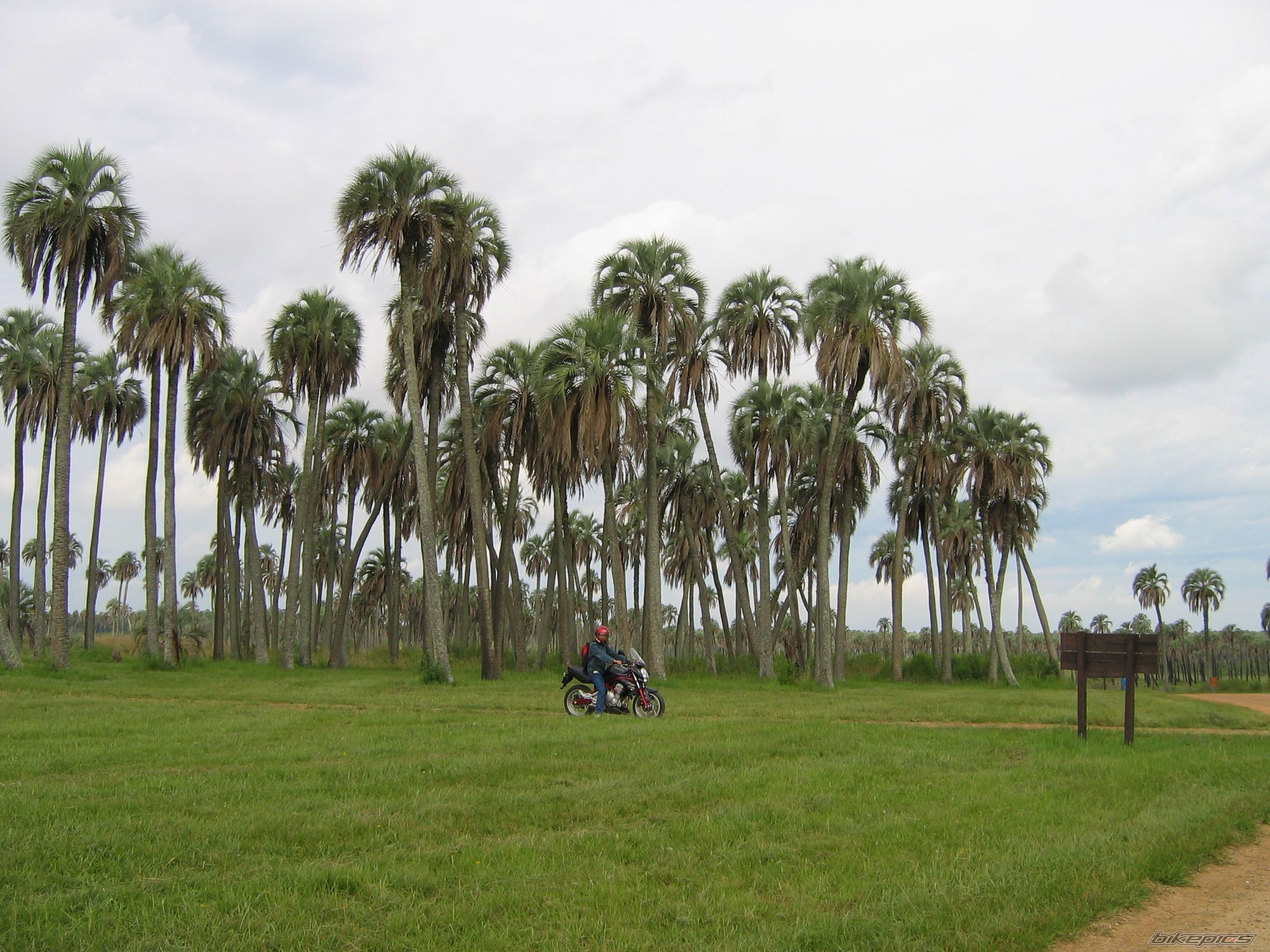 Bike Photo 785131