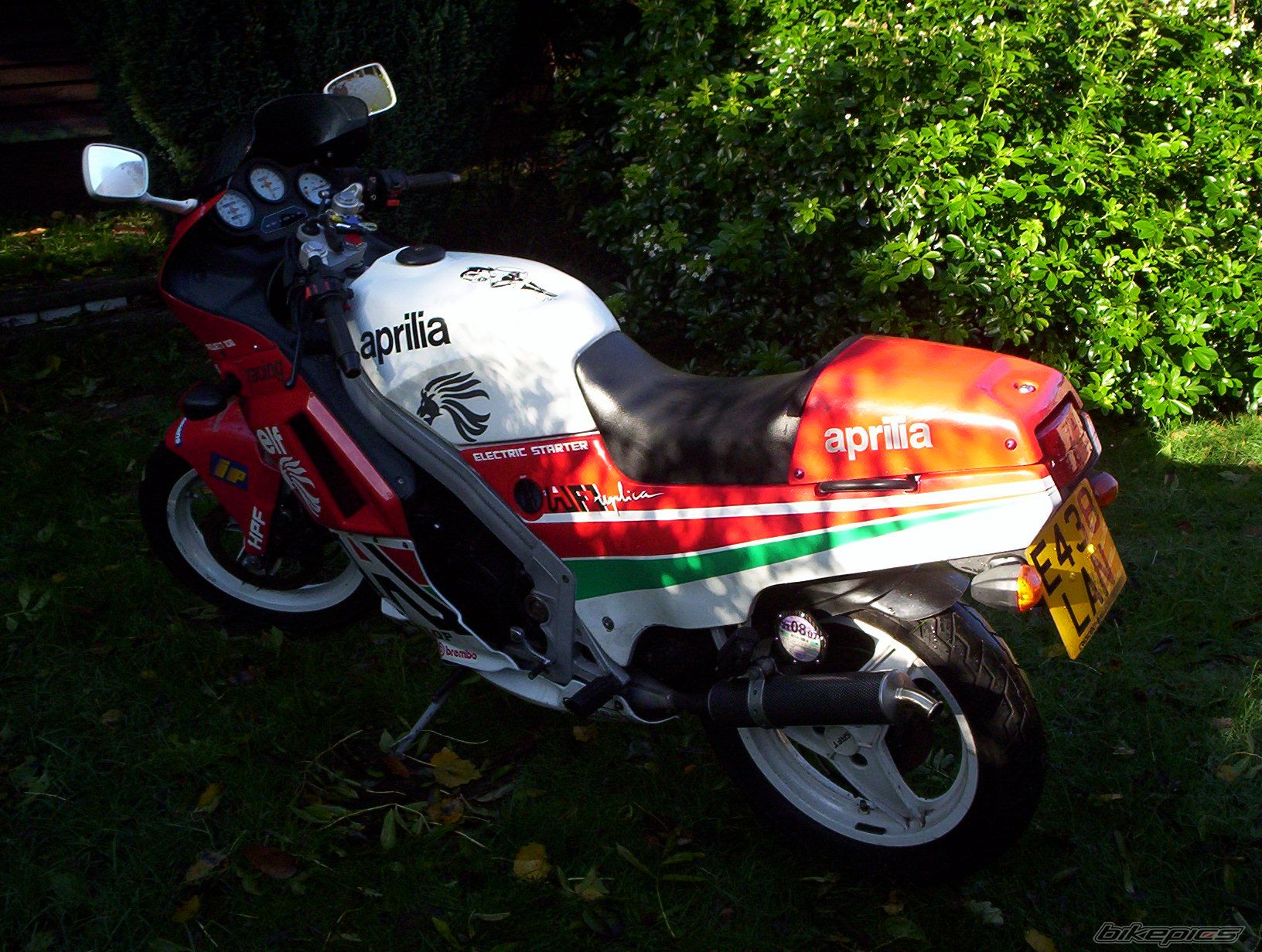 Photo 785225