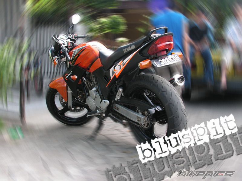 Photo 785300
