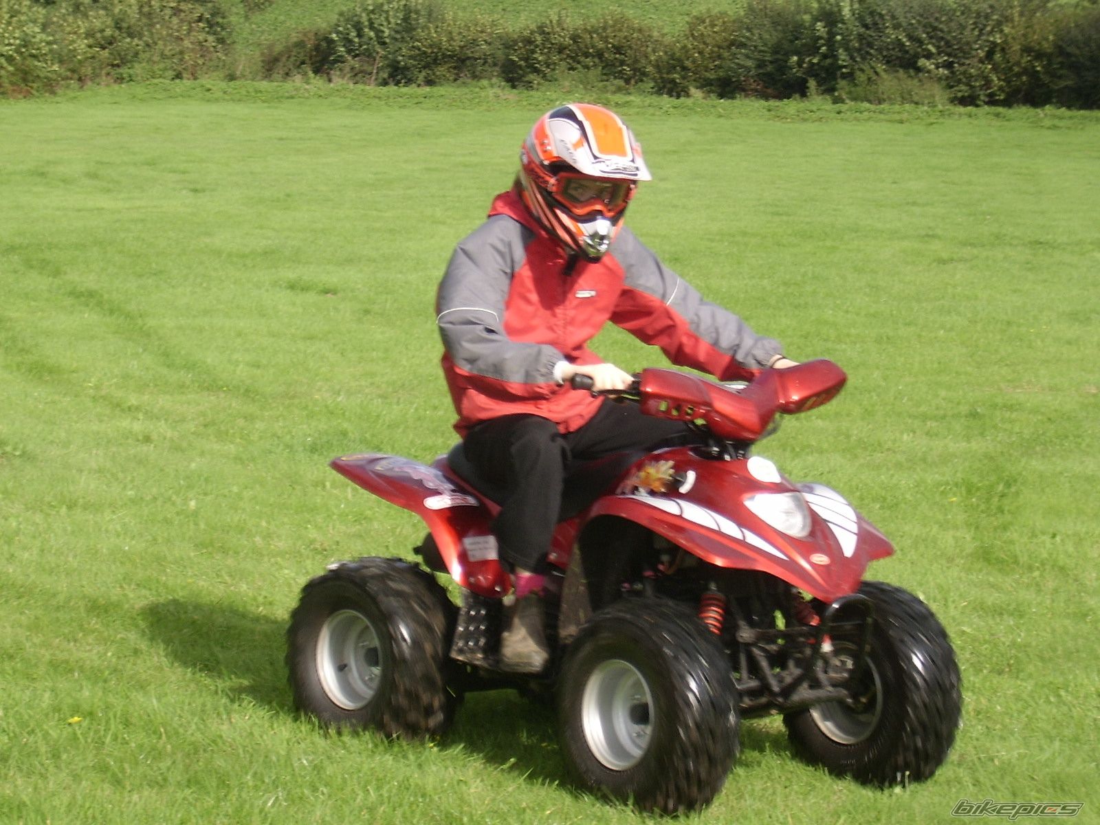 Photo 785365