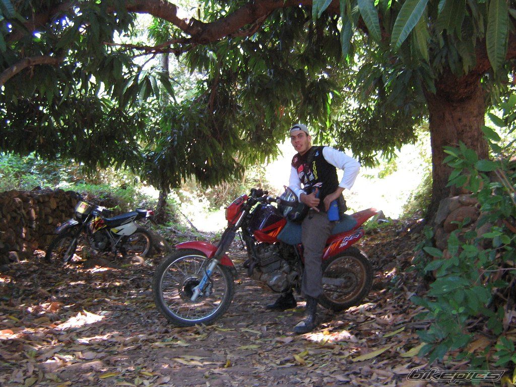 Photo 785413