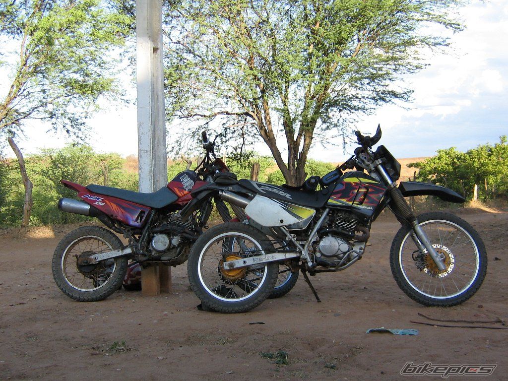 Bike Photo 785437